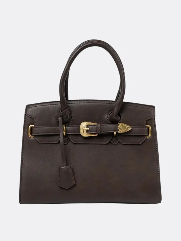 Styvela Dark Brown Gold Buckle Handbag